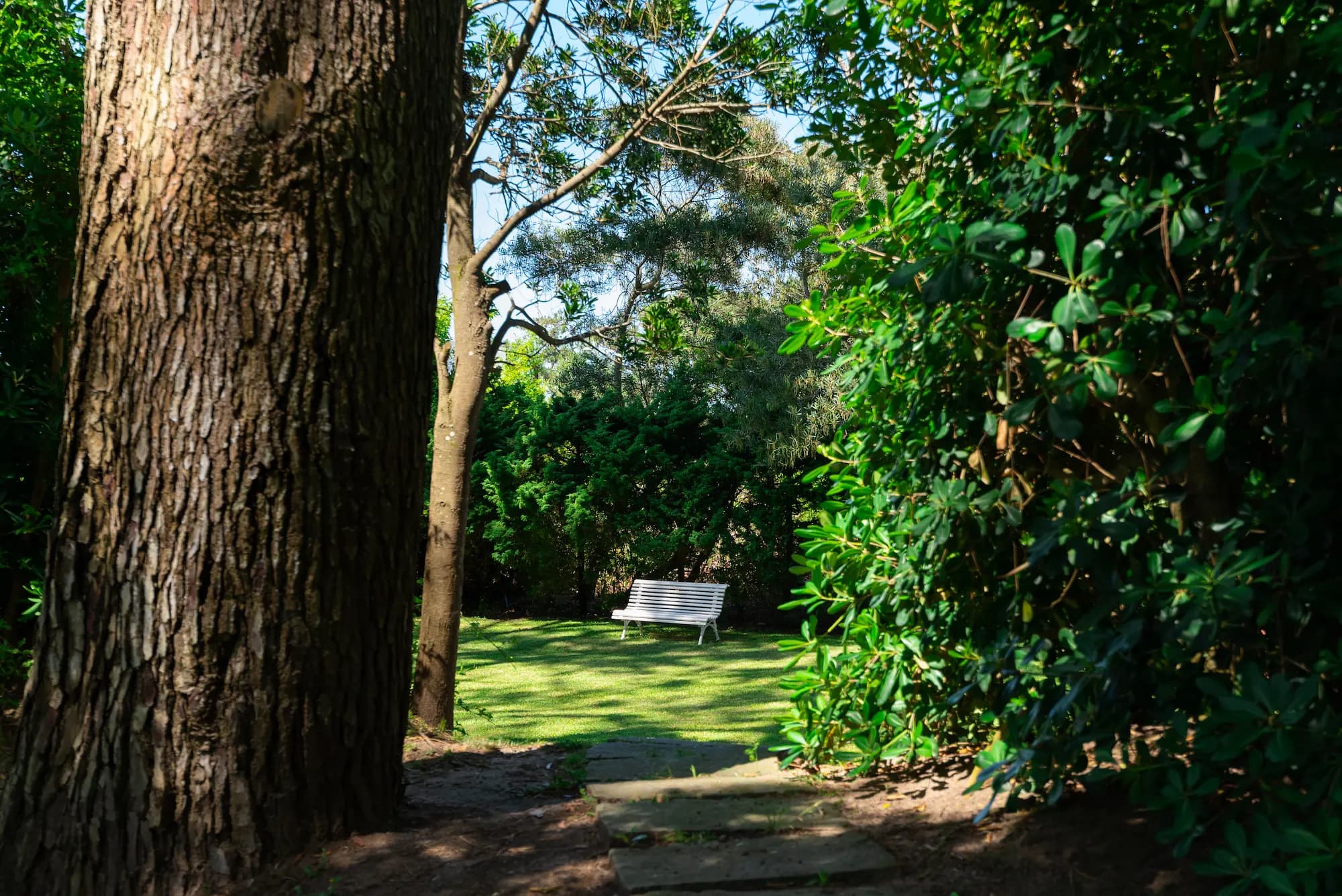 Slide 6